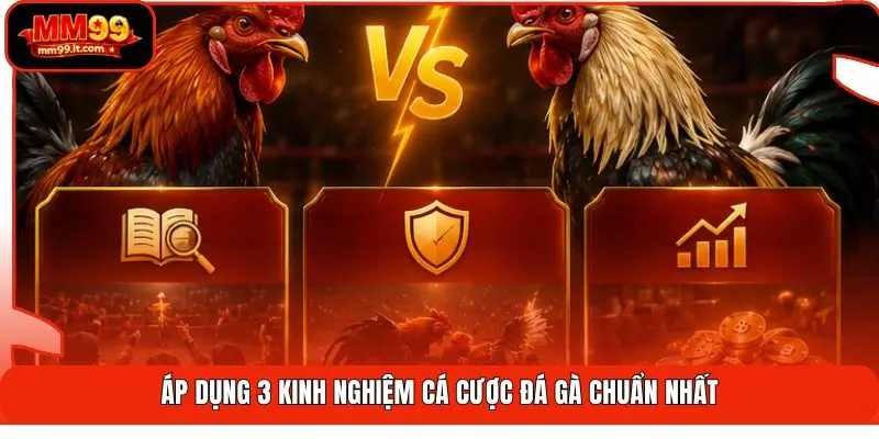 Kinh Nghiệm Cá Cược Đá Gà | Tăng Tỷ Lệ Thắng 68% Hiệu Quả 2 Áp dụng 3 kinh nghiệm cá cược đá gà chuẩn nhất