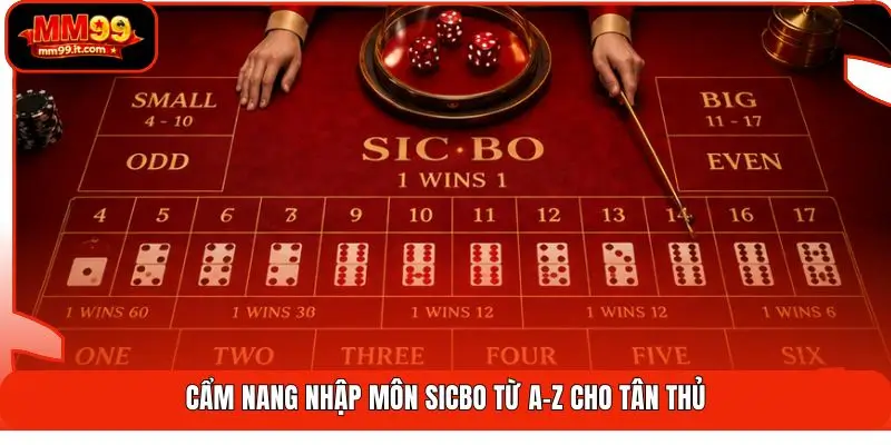 Sicbo MM99 | Lắc 3 Viên Xúc Xắc - Thắng Đậm Chớp Nhoáng 2 Cẩm nang nhập môn Sicbo từ A-Z cho tân thủ