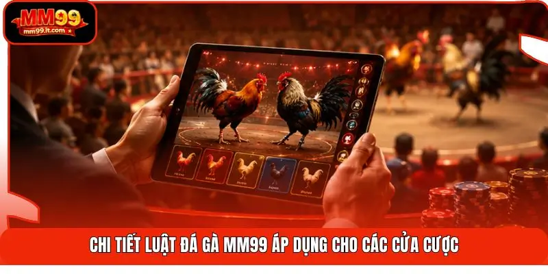 Luật Đá Gà MM99 | Hiểu Nhanh 5 Phút - Đặt Kèo Chuẩn 2 Chi tiết luật đá gà MM99 áp dụng cho các cửa cược