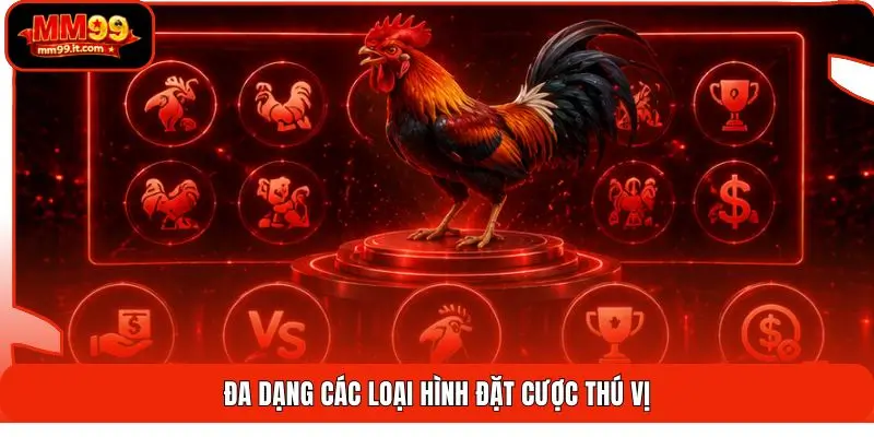 Đa dạng các loại hình đặt cược thú vị