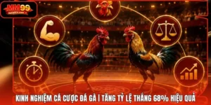 Kinh Nghiệm Cá Cược Đá Gà | Tăng Tỷ Lệ Thắng 68% Hiệu Quả