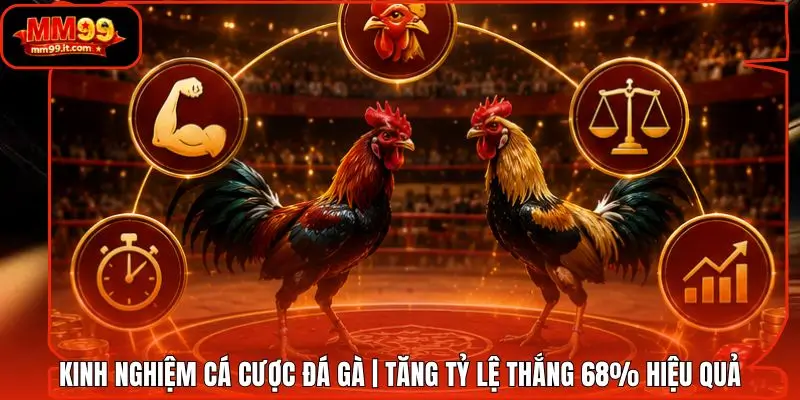 Kinh Nghiệm Cá Cược Đá Gà | Tăng Tỷ Lệ Thắng 68% Hiệu Quả