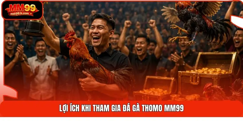 Lợi ích khi tham gia đá gà Thomo MM99