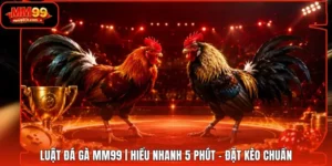 Luật Đá Gà MM99 | Hiểu Nhanh 5 Phút - Đặt Kèo Chuẩn