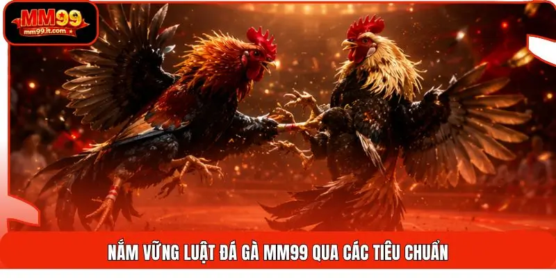 Luật Đá Gà MM99 | Hiểu Nhanh 5 Phút - Đặt Kèo Chuẩn 1 Nắm vững luật đá gà MM99 qua các tiêu chuẩn
