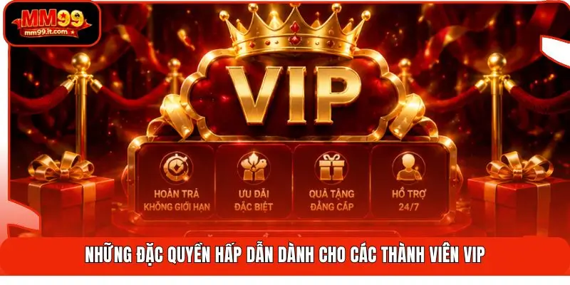 Những đặc quyền hấp dẫn dành cho các thành viên VIP
