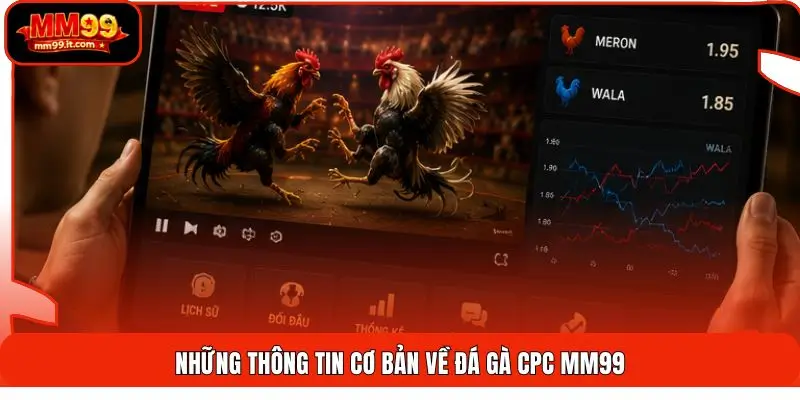 Đá Gà CPC MM99 | Cập Nhật 24/7 - Xem Mượt Không Lag 1 Những thông tin cơ bản về đá gà CPC MM99