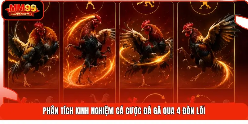 Kinh Nghiệm Cá Cược Đá Gà | Tăng Tỷ Lệ Thắng 68% Hiệu Quả 3 Phân tích kinh nghiệm cá cược đá gà qua 4 đòn lối