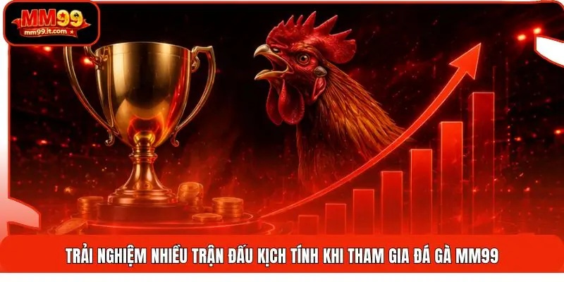 Trải nghiệm nhiều trận đấu kịch tính khi tham gia đá gà MM99