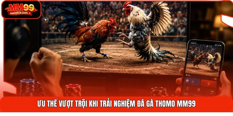 Ưu thế vượt trội khi trải nghiệm đá gà Thomo MM99